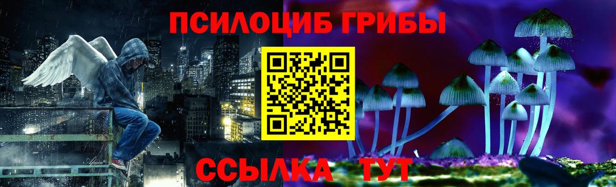 Азнакаево  Псилоцибиновые грибы Psilocybine cubensis  Вход с VPN 